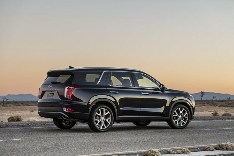The Best Cargo Carrier For Hyundai Palisade (Buyer’s Guide)